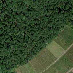 Satellite imagery of Stöppelberg, DE