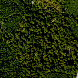 Satellite imagery of Bayerskopf, DE