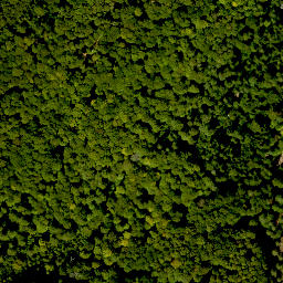 Satellite imagery of Hoher Knuck, DE