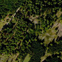 Satellite imagery of Langer Rain, DE