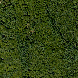 Satellite imagery of Erlachberg, DE
