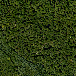 Satellite imagery of Erlachberg, DE