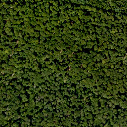 Satellite imagery of Erlachberg, DE