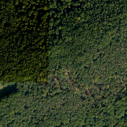 Satellite imagery of Eichenrangen, DE