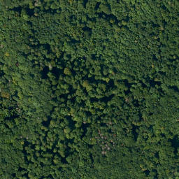 Satellite imagery of Schammelsberg, DE