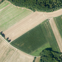 Satellite imagery of Rappersberg, DE