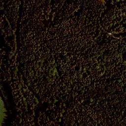 Satellite imagery of Tannenberg, DE