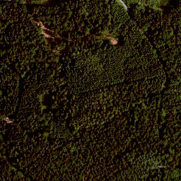 Satellite imagery of Tannenberg, DE