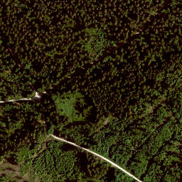 Satellite imagery of Schwarzberg, DE