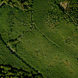 Satellite imagery of Bayerskopf, DE