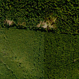 Satellite imagery of Bayerskopf, DE