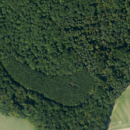 Satellite imagery of Oberer Tauschenberg, DE