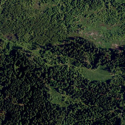 Satellite imagery of Plößberg, DE