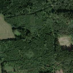 Satellite imagery of V Borech [Přívrat], CZ