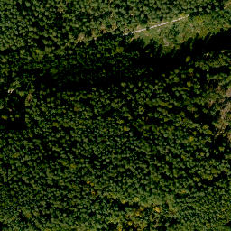 Satellite imagery of Sulzberg, DE