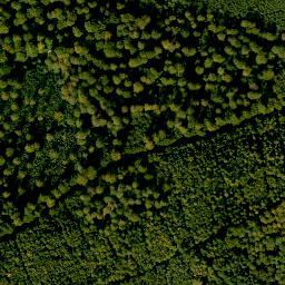 Satellite imagery of Bayerskopf, DE