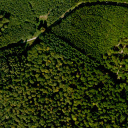 Satellite imagery of Bayerskopf, DE