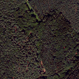 Satellite imagery of Elscheid, DE