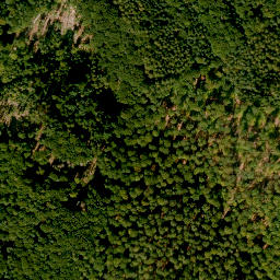 Satellite imagery of Königshöhe, DE