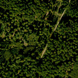 Satellite imagery of Totenkupp, DE