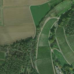 Satellite imagery of Totenmann, DE