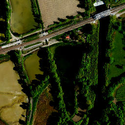Satelita