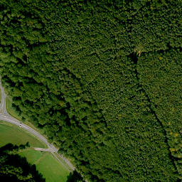 Satellite imagery of Sulzberg, DE