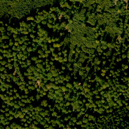 Satellite imagery of Totenkupp, DE