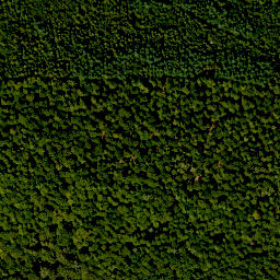 Satellite imagery of Hintere Bauhöhe, DE