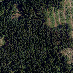 Satellite imagery of Platte (Steinwald), DE