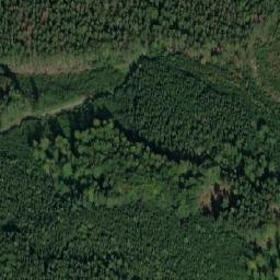 Satellite imagery of Palice, CZ