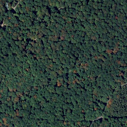 Satellite imagery of Geyerfels, DE