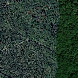 Satellite imagery of Geyerfels, DE