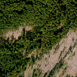 Satellite imagery of Schloß Mespelbrunn, DE