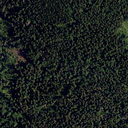 Satellite imagery of Platte (Steinwald), DE