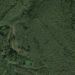 Satellite imagery of Jezevčiny [Plasy-Lomnička], CZ