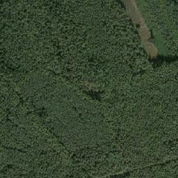 Satellite imagery of Jezevčiny [Plasy-Lomnička], CZ