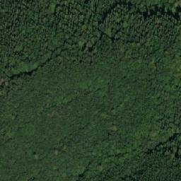 Satellite imagery of Palice, CZ