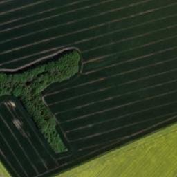 Satellite imagery of Davidka [Hlučín], CZ