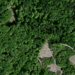 Satellite imagery of Kamień graniczny Austrii i Prus, PL