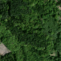 Satellite imagery of Kamień graniczny Austrii i Prus, PL