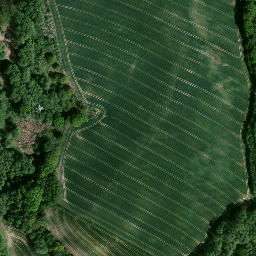 Satellite imagery of Kamień graniczny Austrii i Prus, PL