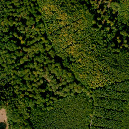 Satellite imagery of Zeugplatte, DE