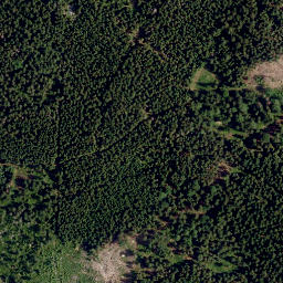 Satellite imagery of Platte (Steinwald), DE