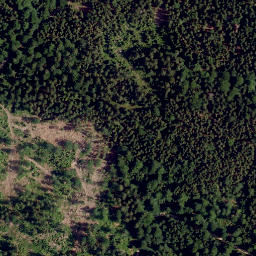 Satellite imagery of Leiterfelsen, DE
