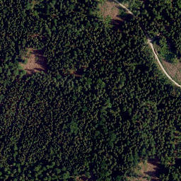 Satellite imagery of Leiterfelsen, DE