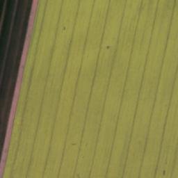 Satellite imagery of [Rašovice-Jindice] church t., CZ