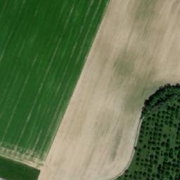 Satellite imagery of Dobrkovský kopec [Luže-Radim], CZ