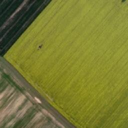 Satellite imagery of Davidka [Hlučín], CZ