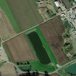 Satelita